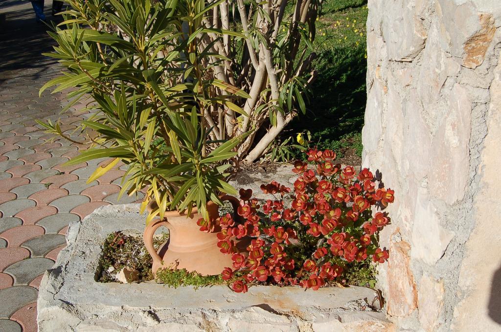 B&B Le Cicale Vieste Exterior photo